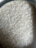 十月稻田 23年新米 寒地之最 五常有机稻香米 5kg 五常大米 东北大米 10斤 实拍图