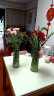吕姆克玻璃花瓶插花瓶干花仿真花客厅桌面书房富贵竹花瓶大号高30CM5050 实拍图