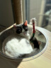 小佩宠物饮水机 不锈钢智能饮水机猫咪饮水机自动过滤UVC抑菌无线水泵 实拍图