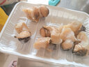 鱼姐海成 青岛海螺肉新鲜现剥鲜活大海螺冷冻去壳速冻约15只/斤500g袋装 实拍图