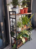 金羡花架阳台实木多层多肉绿萝室内花架子大盆景落地式铁艺花盆架带轮 三层长80*宽30*高125黑架+碳烤木 实拍图