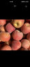 喵鲜君正宗新疆冰糖心苹果 红富士新鲜时令年货礼盒整箱水果平安果 净重8.5斤大果单果80-90mm 实拍图