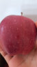 京鲜生 甘肃天水花牛苹果 净重4.5斤装单果150-200g 生鲜水果 源头直发 实拍图