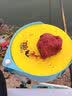 Tab拉饵盘强磁一线自动分钩立钩浮水饵盘钓鱼双层饵料盒饵盒散炮 一线浮水拉饵盘+拉饵盒套装 实拍图