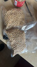达派（dapai）德国真空封口机家用商用干湿两用全自动抽真空包装真空食品保鲜机塑封机抽腊肉真空封口 10*20CM（50片装） 实拍图