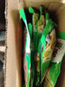 宏绿（HONGLU） 梅菜笋丝80g*30早餐小菜下饭菜咸菜整箱下酒菜酸菜雪菜酱腌菜 梅菜笋丝10包 80g 实拍图