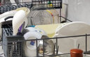 瓷秀源 纯白骨瓷碗家用饭碗汤碗面碗创意餐具简约瓷器可订制LOGO 5英寸奥碗2个 实拍图