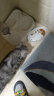 伟嘉成猫猫粮3.6kg海洋鱼味布偶蓝猫橘猫加菲英短猫咪全价粮 实拍图
