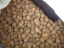 土陶粒 无土栽培植物专用陶粒 隔水透气 防止烂根效果好 土陶粒500克 晒单实拍图