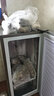 香雪海 立式冰柜家用 匀冷全温区冷冻小型抽屉式冷柜 家用小型节能省电储母乳冰柜冰箱 【不锈钢内胆天际灰】65升立式冷柜 65L 实拍图
