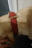 KAMPET狗狗项圈刻字大型犬中型小型犬大狗小狗圈狗脖套牵引绳狗绳真牛皮 红色项圈 L 头层牛皮 实拍图