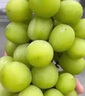 沭鲜园江苏阳光玫瑰晴王葡萄当季水果整箱脆甜香印新鲜无籽时令水果礼盒 3斤整串特级果【10-14g】 实拍图