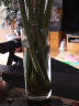 盛世泰堡 玻璃花瓶透明水养植物插花瓶富贵竹百合玫瑰水培容器大花瓶客厅桌面摆件 直筒款1025 实拍图