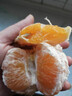 广西武鸣沃柑2025橘子新鲜水果当季一级沙糖蜜橘砂糖柑橘大果 大果(单果径65-70mm) 净重8.5斤 实拍图