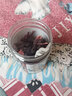 玫瑰茄云南整朵洛神花茶玫瑰茄干新鲜洛神茶花果草茶叶 【1罐】 实拍图