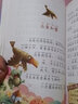 伊索寓言注音版（美绘大开本）一二三年级儿童文学 小学生课外阅读必读 全国著名语文特级教师 窦桂梅推荐 爱上阅读系列 实拍图