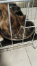 麦富迪猫粮 超肉粒冻干双拼粮10kg 幼猫（冻干三文鱼） 实拍图