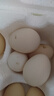 忆乡岭鸡蛋 散养谷物蛋 农家山林喂养 初生鲜土鸡蛋 16枚活动款640g 实拍图