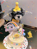 果思萌 宠物狗狗生日猫咪蛋糕手工自制泰迪金毛柯基宠物零食定制含头像 6寸鸡肉（含头像） 实拍图
