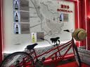宾王泸州大二泸州大贰198四川长牌字牌川牌加厚版80张BinWang 10副 实拍图
