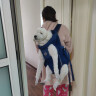 DogLemi宠物中小犬外出户外背包双肩骑行胸前包透气网布狗包DogLemi 蓝色 L（11-20斤内） 实拍图
