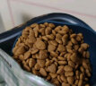 皇家猫粮 成猫猫粮 营养均衡 F32 通用粮 1-7岁 15KG 实拍图