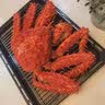 鲜生说智利帝王蟹礼盒熟冻帝王蟹帝皇蟹大蟹钳蟹腿进口生鲜螃蟹中秋礼盒 3.6~4.0斤今年新货 实拍图