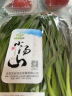 小汤山 北京 韭菜 200g 基地直供新鲜蔬菜 实拍图