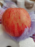 堡鲜生陕西洛川红富士苹果脆甜多汁时令新鲜孕妇水果生鲜苹果整箱 90-95mm带箱10斤 (净重8.8斤) 实拍图