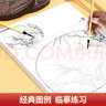 中国画白描描摹本 升级版 工笔画入门描红本 勾线笔毛笔画 人物 山水 花卉 动物 成人自学零基础 国画临摹画帖 白描画本 线描底稿本 中国画白描人物+花卉+画具三件套 实拍图