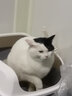 派得猫砂  原味豆腐猫砂活性炭混合猫砂多规格易可冲厕所 活性炭豆腐混合猫砂2kg*2袋 实拍图