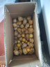 东北姑娘果精品应季灯笼果水果新鲜当季整箱黄菇娘果洋菇 3斤精选装 实拍图