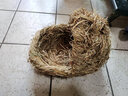 安迪优美兔子兔兔窝 龙猫天竺鼠荷兰猪草窝 保暖草垫  草窝兔子兔兔窝龙猫 隧道草窝 实拍图