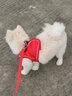 SLPC狗狗胸背带牵引绳小型犬泰迪背心式遛狗绳反光透气小狗背带狗绳子 红色 M（适合6-9斤） 实拍图