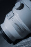 索尼 (SONY) FE 200-600mm F5.6-6.3 G OSS 全画幅超远摄变焦G镜头 (SEL200600G) 晒单实拍图
