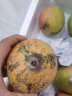 果恋汇（GUOLIANHUI）海南三亚澳芒新鲜水果超大芒果当季特大当季热带苹果芒 10斤精选装 实拍图