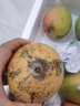 果恋汇（GUOLIANHUI）海南三亚澳芒新鲜水果超大芒果当季特大当季热带苹果芒 8斤精选装 实拍图