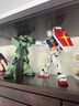 万代（BANDAI）高达拼插拼装模型玩具 PG 1/60 Gundam敢达 PG 红扎古 5064229 实拍图