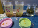 物生物（RELEA）玻璃杯男女士茶水分离办公泡茶杯双层耐高温花茶杯带把手 麋鹿 500ml 实拍图