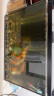 YEE鱼缸超白背滤客厅生态桌面金鱼缸造景缸家用龟缸自循环水草缸 一体式50豪华套餐 晒单实拍图