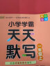 【科目自选】2024版 经纶小学学霸一年级上册下册语文数学 小学1一年级上册下册试卷测试卷 一年级上册语文人教版 定价39.8 实拍图