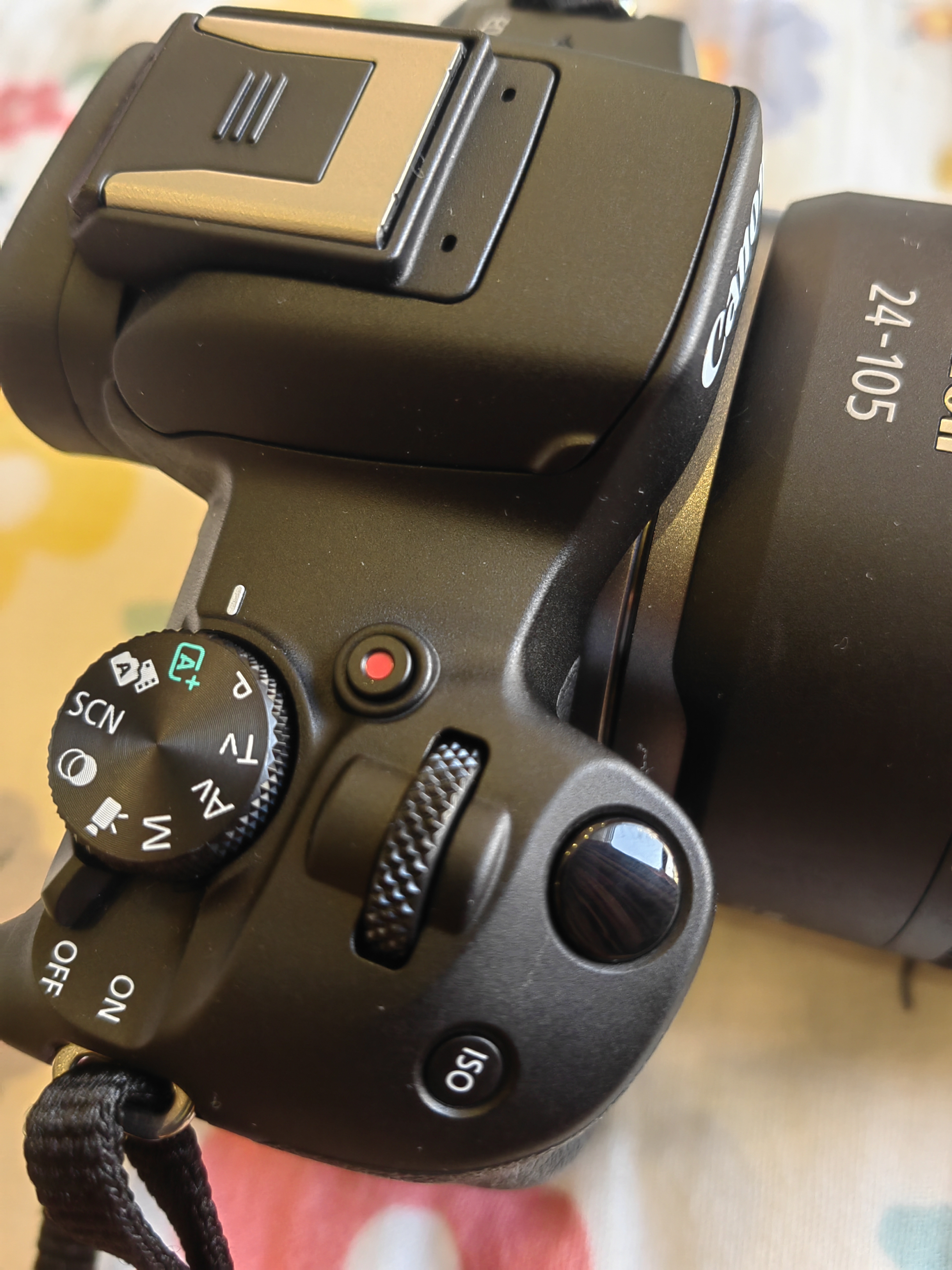 佳能（Canon）EOS R50微单相机 入门级半画幅 旅行家用学生vlog 4k视频小巧便携 r50数码照相机 R50黑色单机身【原包装 不含镜头】 官方标配【咨询客服领加购福利】 实拍图