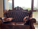 梦美斯宣沙发 美式实木雕花沙发欧式仿古真皮沙发大户型客厅123沙发 599 【客厅6件套】产品明细请看主图 实拍图