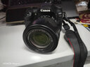 佳能/CANON  80D 60D 70D 77D 50D 90D 半画幅 二手单反相机 佳能80D 单机 95新 实拍图