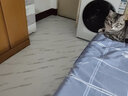 斯图（sitoo） 水泥瓷砖PVC地板革自粘防水防滑耐磨仿大理石家用商用地面直接铺 爵士白15片装（5.4平方） 实拍图