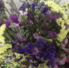 爱满云南勿忘我干花鲜花摆件客厅装饰真花插花满天星花束节日生日搭配 紫粉黄白勿+黄粉水晶 约30支 实拍图