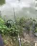 清水鱼竿超轻超硬碳素钓鲫鱼竿手竿19调台钓竿鲤鱼杆渔具套装 实拍图