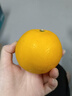 探味君 江西夏橙 应当季时令手剥冰糖甜橙子新鲜水果整箱 净重8.5-8.99斤 单果60mm-65mm 实拍图