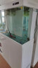 森森（SUNSUN）2024新款鱼缸客厅家用生态金鱼缸玻璃底过滤免换水水族箱 小鲤系列0.8米升级底滤【带豪华礼包】 晒单实拍图