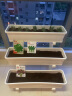 IDEAL鸡毛菜种子小青菜绿叶菜种籽四季种易活盆栽家庭种植蔬菜种子10g 实拍图